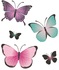 3D Butterflies and Flowers