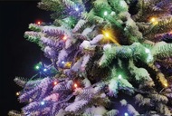 11088 Osvětlen&iacute; v&aacute;nočn&iacute; - nadstaviteln&yacute; řetěz 10 m-100 LED multicolor+ 5 cm př&iacute;vodn&iacute; kabel-4