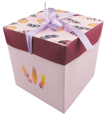 Foldable Gift Box with Ribbon M  16,5x16,5x16,5 cm Feathers