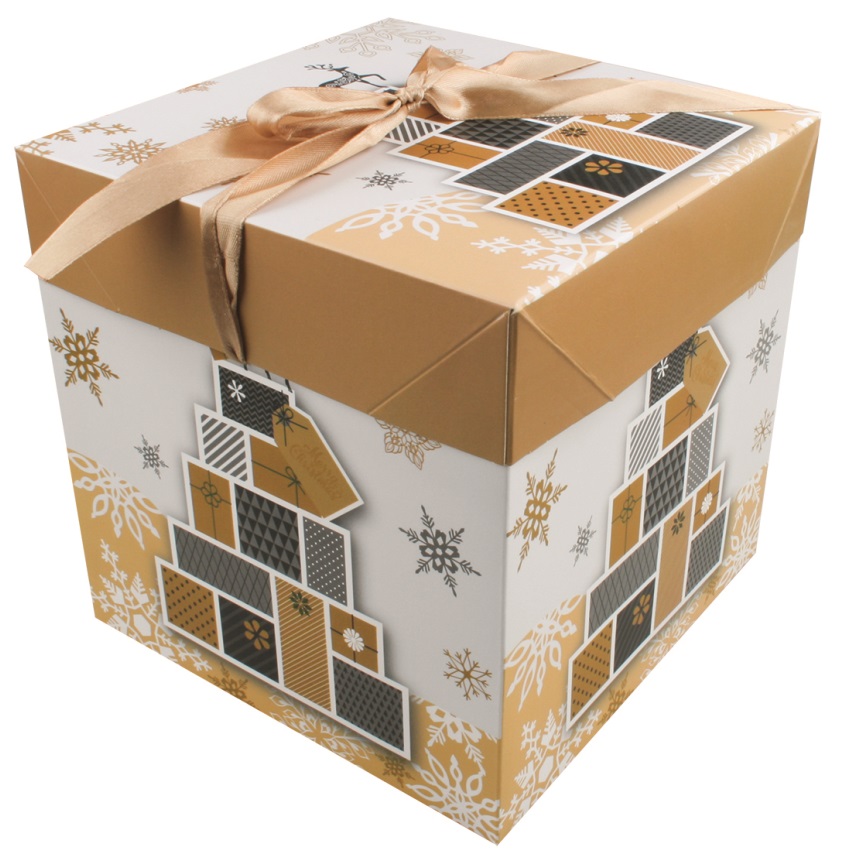 Gift Box with Ribbon (M)