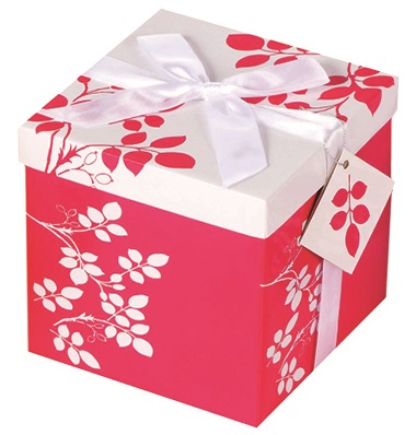 Gift Box with Ribbon (M)