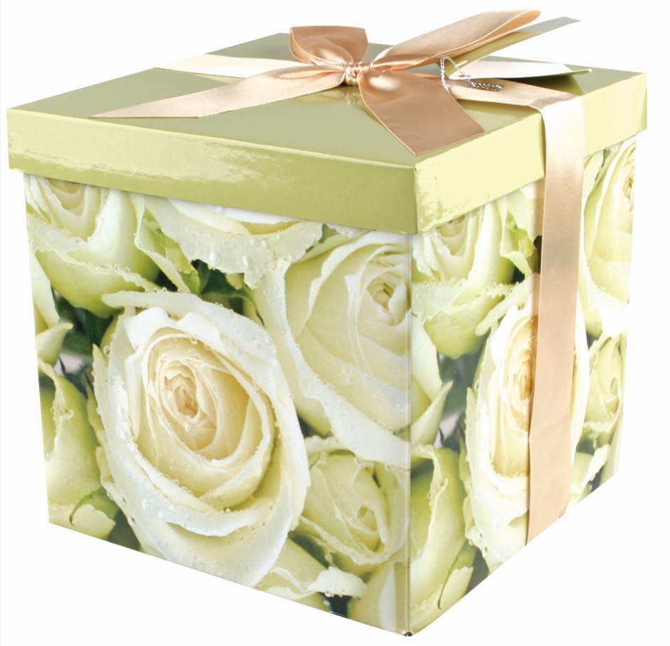 iris clear gift wrap box