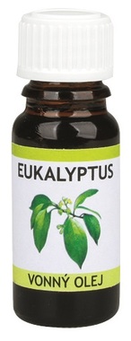 Fragrance Oil 10 ml - Eucalypt