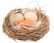 Nest w/Eggs 7 cm