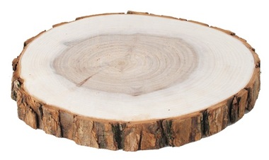Wooden Slice 9 - 10 cm 