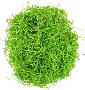 Wood Wool for Decoration 50 g, Green