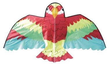 Kite Parrot 137 x 71 cm 