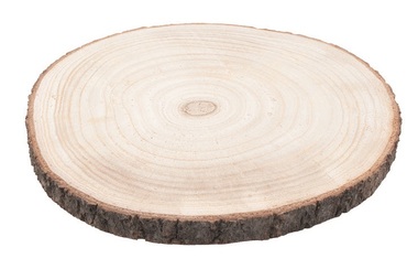 Wooden Slice o 24 x 2 cm