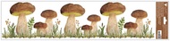 Decorative Window Cling – Brown Mushrooms