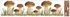 Decorative Window Cling – Brown Mushrooms