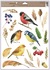 Decorative Window Cling – Birds with berries and leaves