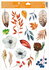 Decorative Window Cling – White flowers