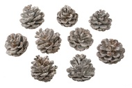 Pinecones 9 pcs, White Glitter