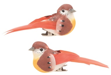 Bird on Clip 8 cm, 2 pcs, Brown/Orange