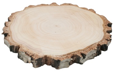 Wooden Slice Birch 18-20 cm