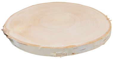 Wooden Slice Birch 18-20 cm