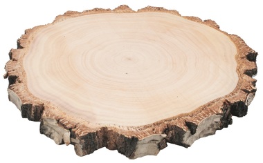 Wooden Slice Birch 20-22 cm