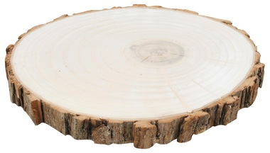 Wooden Slice Willow 20-22 cm