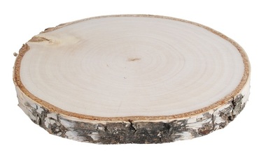 Wooden slice Birch 14 -16 cm