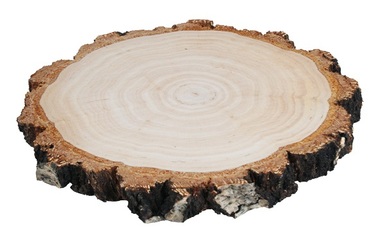 Wooden slice Birch 14-16 cm