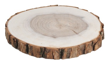 Wooden sice Willow 14-16 cm