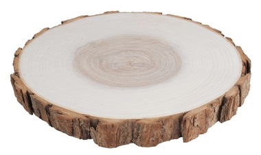 Wooden slice Willow 18-20 cm