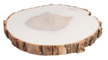 Wooden Slice Birch 22-24 cm