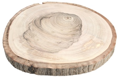 Wooden slice Apple tree 18-20 cm