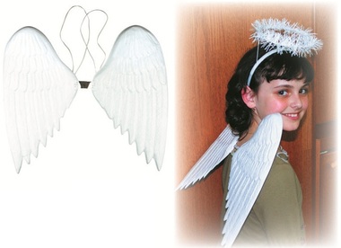 Angel Wings 36 cm, plastic