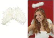 Angel Wings 38 cm, Feathers