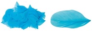 Feathers, 3 g in Bag, Blue