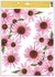 Decorative Window Cling – Echinacea