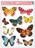 Decorative Window Cling – Colorful butterflies (10 pcs)