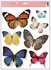 Decorative Window Cling – Colorful butterflies (7 pcs)