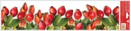 Decorative Window Cling – Rosehip