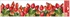 Decorative Window Cling – Rosehip