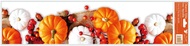 Decorative Window Cling – Pumpkin