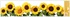 Decorative Window Cling – SunFlower