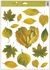 Decorative Window Cling – Heart of green Leaves