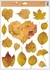Decorative Window Cling – Heart of orange Leaves