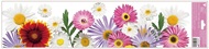 Decorative Window Cling – Daisies
