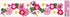 Decorative Window Cling – Beauties