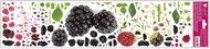 Decorative Window Cling – Blackberries