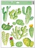 Decorative Window Cling – Light Cacti Loose