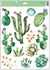Decorative Window Cling – Darker Cacti Loose