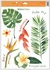 Decorative Window Cling – Flowers