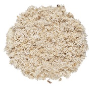 Artifical Moss Beige 87g