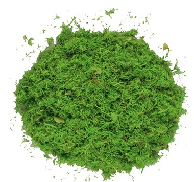Moss green colour 87g