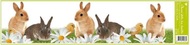 Decorative Window Cling – Rabbits