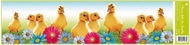 Decorative Window Cling – Duckling colorful Flowers